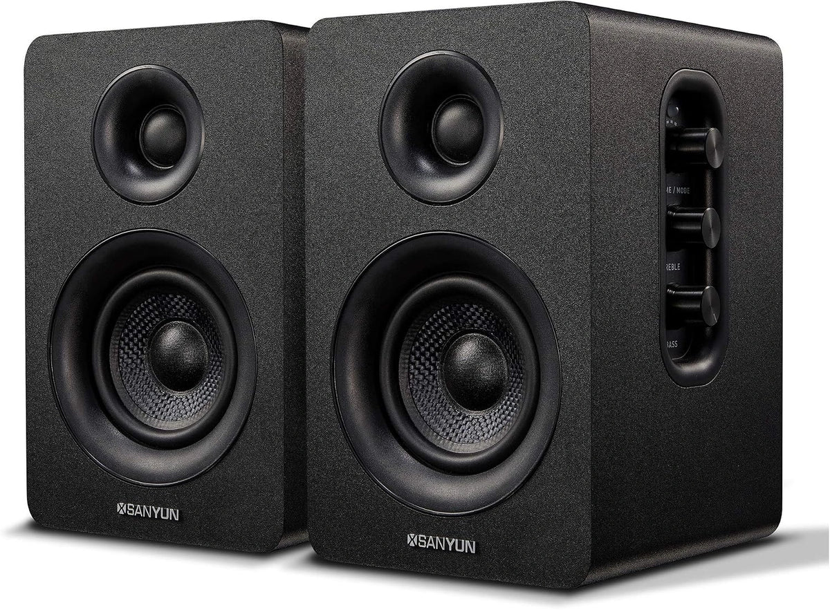 Sprzęt audio Sanyun SW208 – do codziennego zastosowania